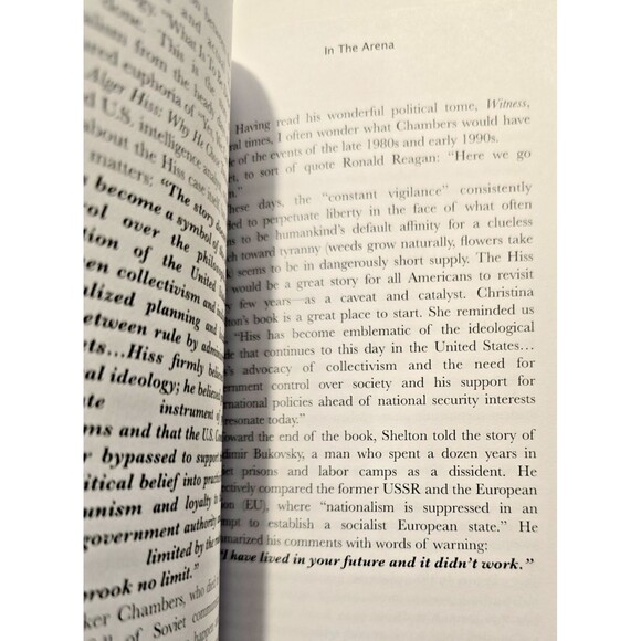 In The Arena by David Stokes - Picture 6 of 10